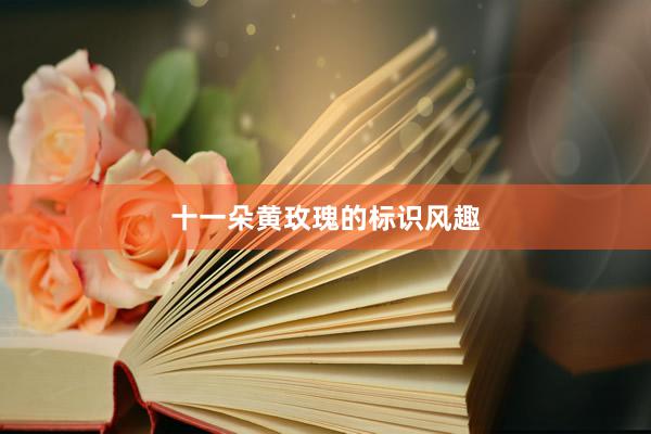 十一朵黄玫瑰的标识风趣