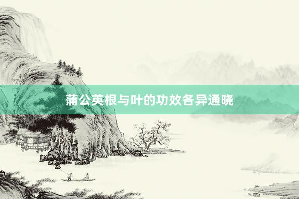 蒲公英根与叶的功效各异通晓