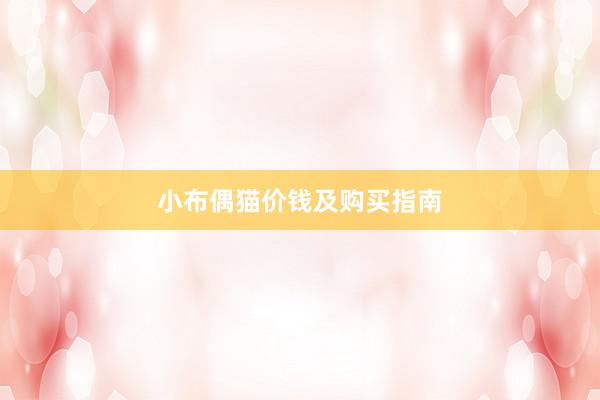 小布偶猫价钱及购买指南
